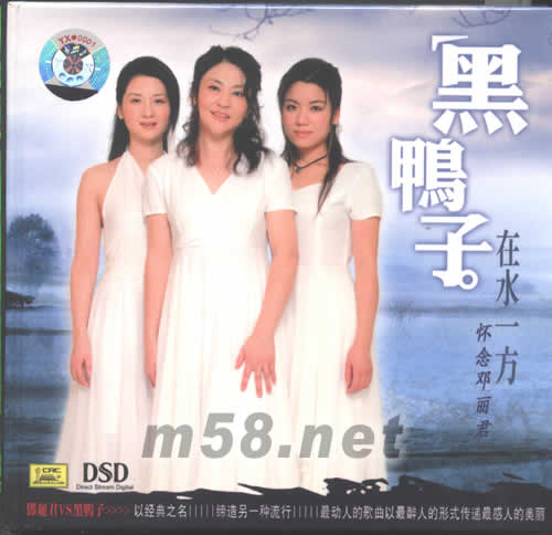 在水一方懷念鄧麗君專輯正面圖片