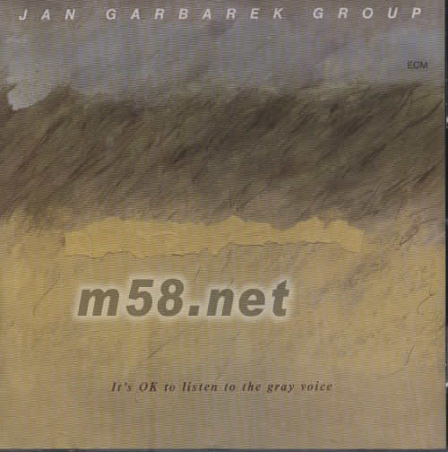 IT‘S OK T LISTEN TO THE GRAY VOICE專輯正面圖片