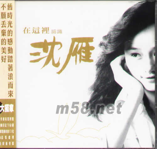 在這里認識沈雁 雙精選專輯正面圖片